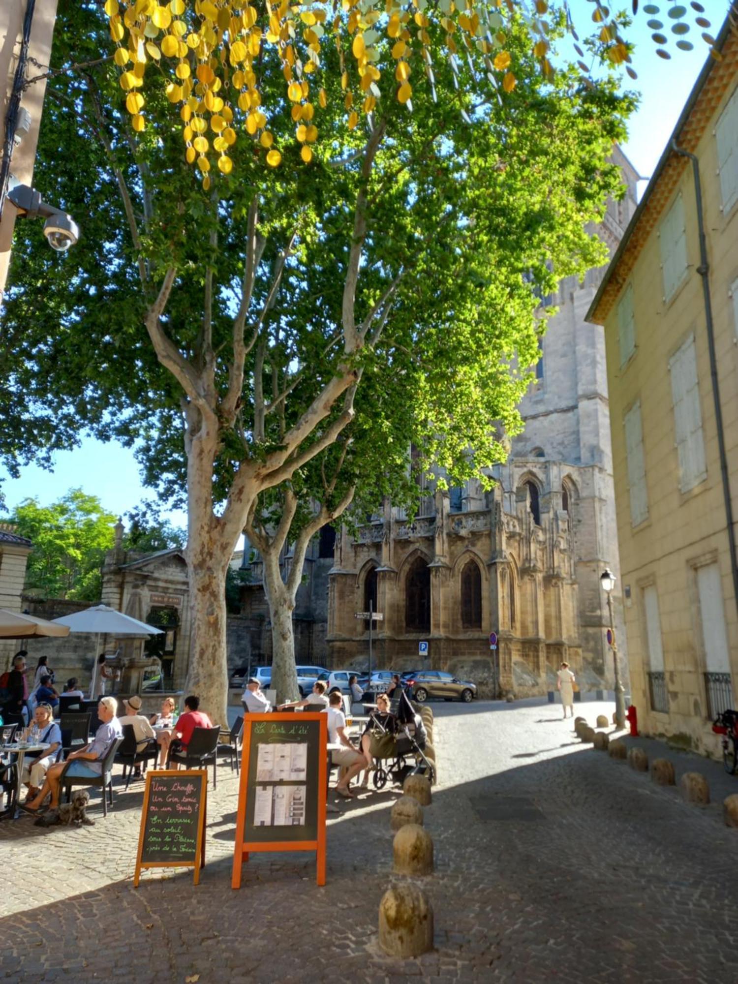 T2 Cathedrale & Torre Ventosa - Central - Clim - Wifi - Balcon - Free Parking Sur Demande Béziers Exteriör bild